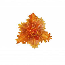 Элегантная плетеная брошь из балтийского янтаря и бисера