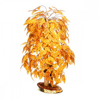 Янтарное дерево