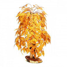 Янтарное дерево